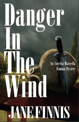 DANGER IN THE WIND US cover